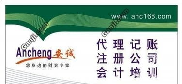 蜀山井崗路企業(yè)一站式財(cái)稅服務(wù)指南 代理記賬、進(jìn)出口權(quán)及審計(jì)變更全解析